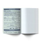 Тетрадь со справочным материалом Лёгким почерком, софт-тач ламинация, A5 48 л. на скобе 65 г/м², белизна 100% 10 шт, клетка, 01841 Лёгким почерком Физика, Светоч Т284