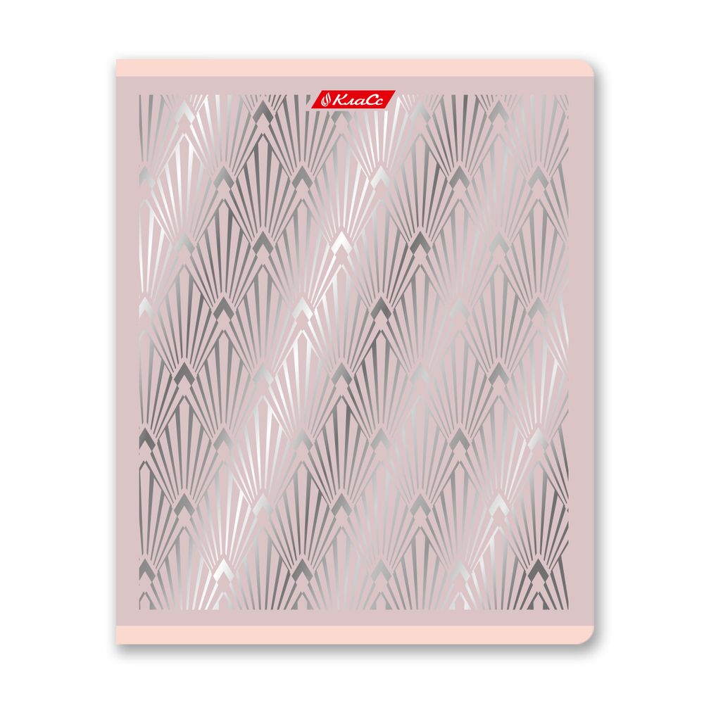 Тетрадь ученическая общая, матовая ламинация + тиснение серебряной фольгой, A5+ 48 л. на скобе 65 г/м², белизна 100%, 10 шт, клетка в термоусадочной пленке, 000743 Серебряная мечта, Светоч 48ТЕТк-007