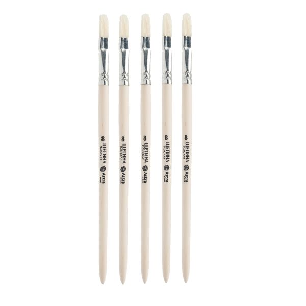 Кисть школьная, щетина, плоская №8, 5 шт, Astra&Craft