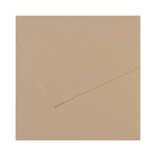 Бумага для пастели Mi-Teintes 160 г/м², 75х110 см, 10 л, №343 Серо-бежевый, Canson, C31032S145