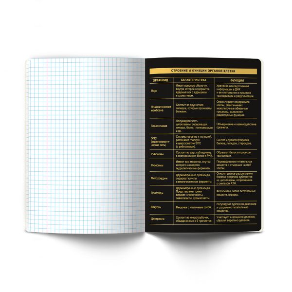 Тетрадь со справочным материалом Золотая коллекция, тиснение золотой фольгой, A5+ 48 л. на скобе 65 г/м², белизна 100 %, 10 шт, клетка, 01324 Золотая коллекция Биология, Светоч Т145
