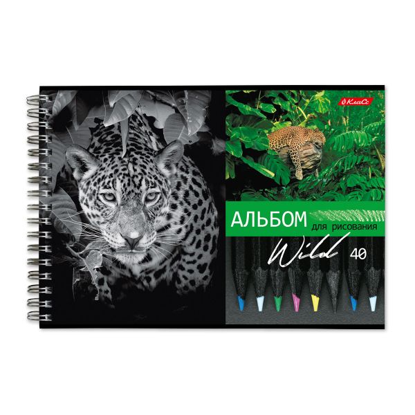 Альбом для рисования, 100 г/м², A4 29х20.5 см, на гребне 40 л., 6 шт, 40АЛГР4_000244 Саванна, Светоч