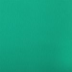 Бифлекс матовый 200 г/м², 150 см / 1 метр, WB.TBY-B-1005.1, цв.1005 мятный