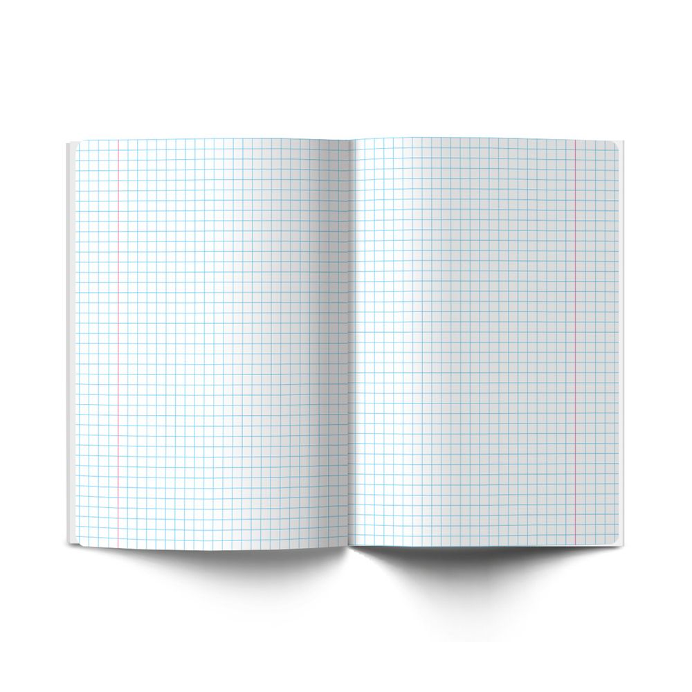 Комплект тетрадей со справоч.материал. "Академия наук", A5 48 л. 12 шт, на скобе 60 г/м², белизна 90 %, 1 шт, клетка/линия, 01334 12 предметов, Светоч, Т147