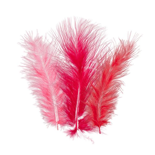 Перья декоративные 12-15 см, 5х24 шт,±2 шт, 12 Красный (ассорти), Mr.Painter