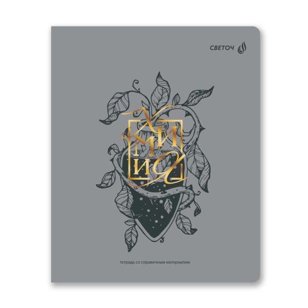 Комплект тетрадей со справочными материалами Архивариус, пластик.обл. 320мкм с тис.золот.фольгой. A5 48 л. 12 шт на скобе 65 г/м², белизна 100% 1 шт клетка/линия, 01889 12 предметов, Светоч Т300