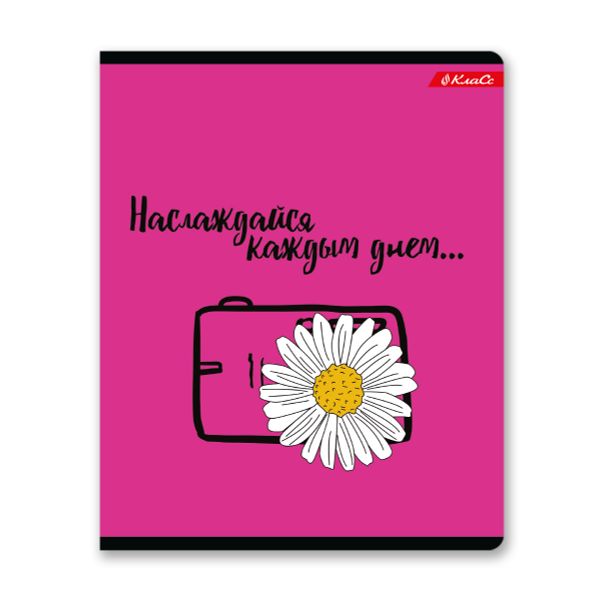 Тетрадь ученическая общая, выборочный лак, A5+ 48 л. на скобе, белизна 100%, 10 шт, клетка, 000316 В лето за мечтой, Светоч 48ТСК5_4_3_1