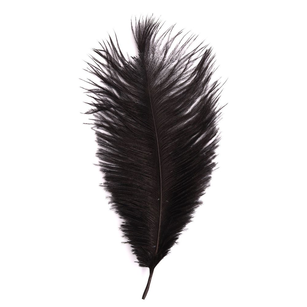 Перья страуса декоративные 20-25см, 10 шт в упак, черный