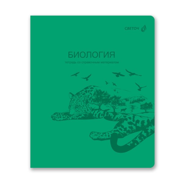 Комплект тетрадей со справочными материалами Яркость по расписанию, с запечат.пластик.обл. 320мкм A5 48 л. 12 шт на скобе 65 г/м², белизна 100% 1 шт клетка/линия, 01888 12 предметов, Светоч Т299