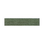 Мулине Anchor 100% хлопок, цв.8581 серо-зеленый, 12 мотков по 8 метров