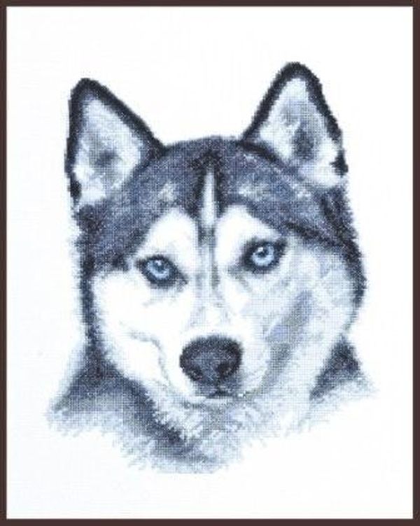 Набор для вышивания нитками Палитра, Взгляд хаски 21х27см