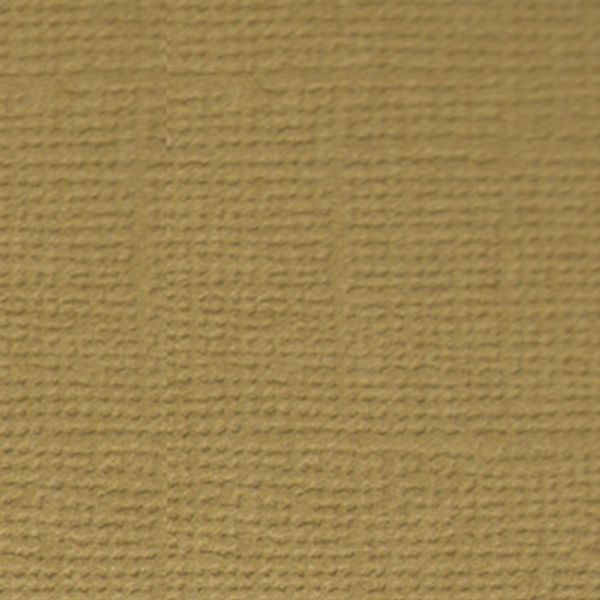 Бумага для скрапбукинга 216 гр/м², 30.5х30.5 см, 10 шт, 20 Грецкий орех (св.коричневый), Mr.Painter PST