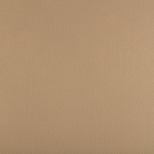 Фетр листовой жесткий 1.2 мм, 33х53 см, 814 бежевый, Gamma FKS12-33/53