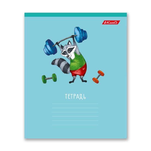 Тетрадь ученическая школьная A5+ 18 л. на скобе, 20 шт, клетка, 000367 Спортландия, Светоч 18ТСКд5_1_3_1
