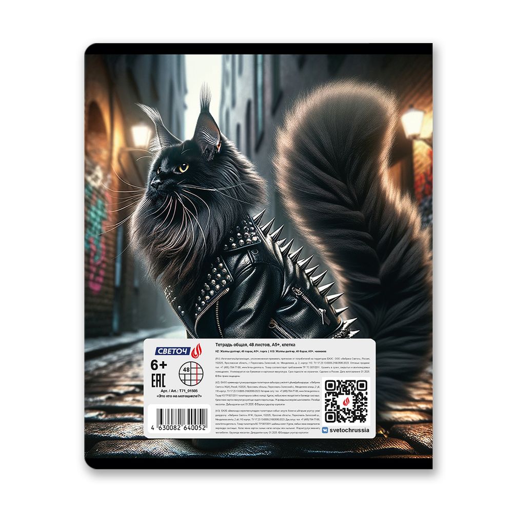 Тетрадь ученическая общая, глянцевая ламинация A5 48 л. на скобе 65 г/м², белизна 100% 10 шт клетка, 01505 Это кто на мотоцикле?, Светоч Т71