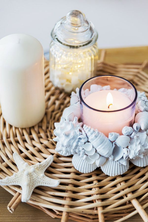 Ракушки декоративные, 3 шт, 6.3 см, Vasum Cornigerum, Zlatka DRF-026