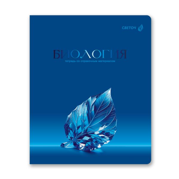 Комплект тетрадей со справочными материалами Кристалл тайного, глянц.ламинация, A5 48 л. 12 шт на скобе 65 г/м², белизна 100% 1 шт клетка/линия, 01885 12 предметов, Светоч Т296