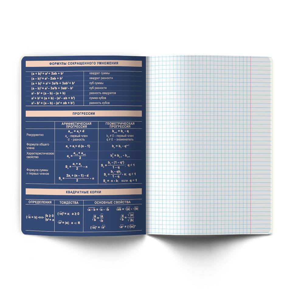 Комплект тетрадей со справочными материалами Лёгким почерком, софт-тач ламинация, A5 48 л. 12 шт на скобе 65 г/м², белизна 100% 1 шт, клетка/линия, 01886 12 предметов, Светоч Т297