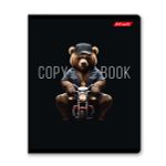 Тетрадь ученическая общая, софт-тач ламинация, A5+ 48 л. на скобе 65 г/м², белизна 100%, 10 шт, клетка в термоусадочной пленке, 000739 Мистер Х, Светоч 48ТЕТк-006