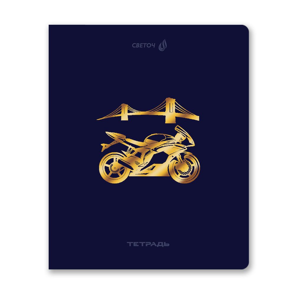 Тетрадь ученическая общая, тиснение золотой фольгой, A5 48 л. на скобе 65 г/м², белизна 100% 10 шт клетка, 01515 Со скоростью света, Светоч Т199