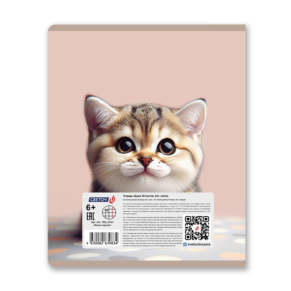 Тетрадь ученическая общая, глянцевая ламинация A5 80 л. на скобе 65 г/м², белизна 100% 5 шт клетка, 01527 Жизнь хороша!, Светоч Т203