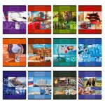 Комплект тетрадей со справоч.материал. "Академия наук", A5 48 л. 12 шт, на скобе 60 г/м², белизна 90 %, 1 шт, клетка/линия, 01334 12 предметов, Светоч, Т147