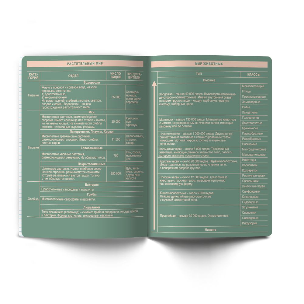 Тетрадь со справочным материалом Лёгким почерком, софт-тач ламинация, A5 48 л. на скобе 65 г/м², белизна 100% 10 шт, клетка, 01837 Лёгким почерком Биология, Светоч Т284