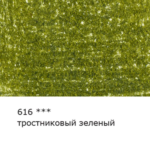 Карандаш цветной художественный заточенный, 6 шт, 616 Тростниковый зеленый (Green cane), Vista-Artista Gallery VGCP