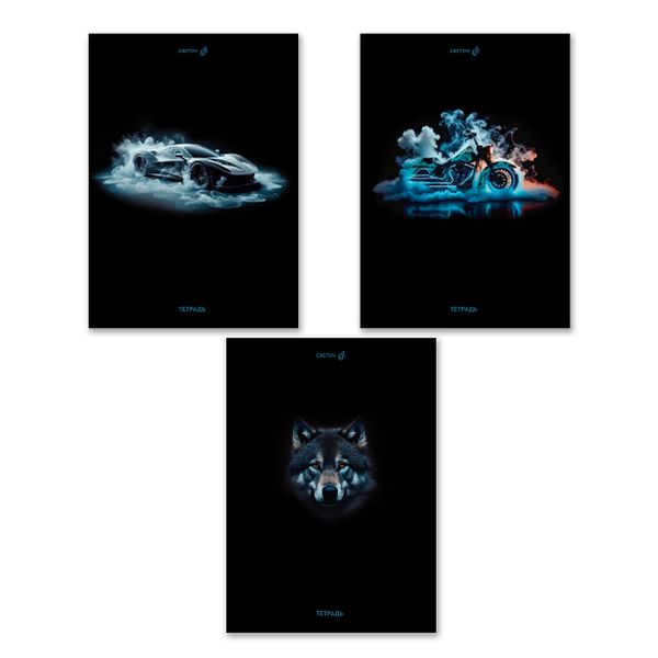 Тетрадь ученическая общая, A4 96 л. на скобе 65 г/м², белизна 100 %, 6 шт, клетка, 01353 Сила и скорость, Светоч Т156