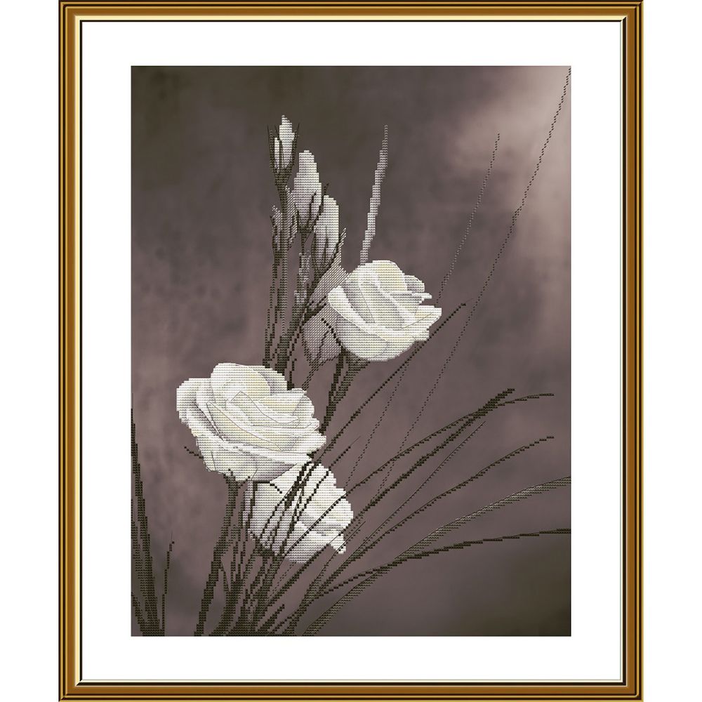 Набор для вышивания нитками Нова Слобода, Очарование 28х37 см