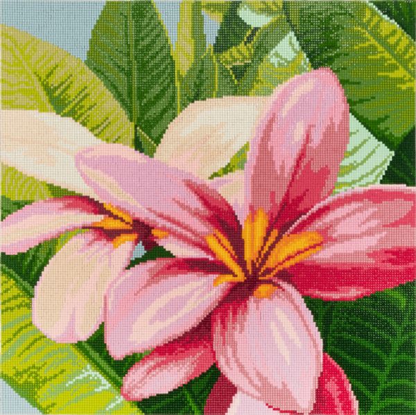 Алмазная (кристальная) мозаика Фрея, Цветы франжипани, 40х40 см