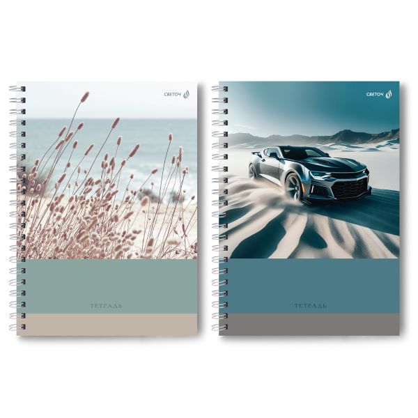 Тетрадь ученическая общая, A4 96 л. на гребне 65 г/м², белизна 100 %, 4 шт, клетка, 01252 Безграничность, Светоч Т129