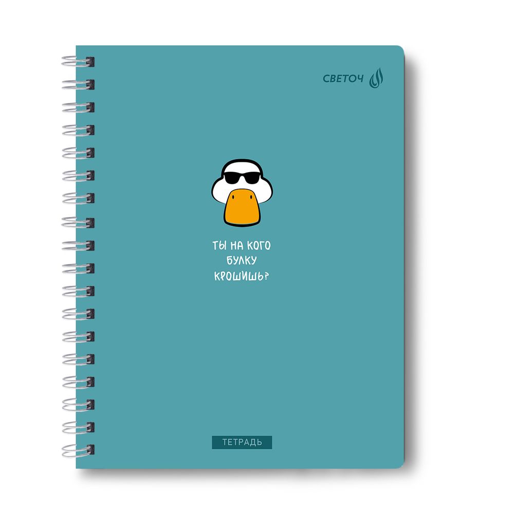 Тетрадь ученическая общая, A5 96 л. на гребне 60 г/м², белизна 90 %, 4 шт, клетка, 01184 МИКС - Тут интересно, Светоч Т111