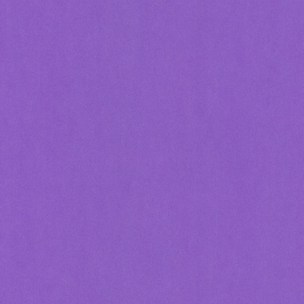 Бумага цветная 120 г/м², A4 21х29.7 см, 50 шт, 15 темно-лиловый/dark lilac, Vista-Artista