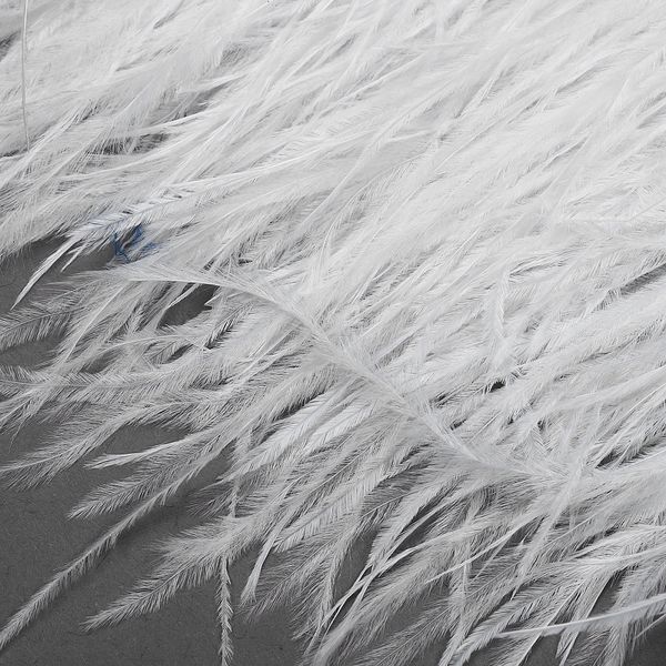 Перья на ленте декоративные Страус FBY-15-01 15см белый уп.2м