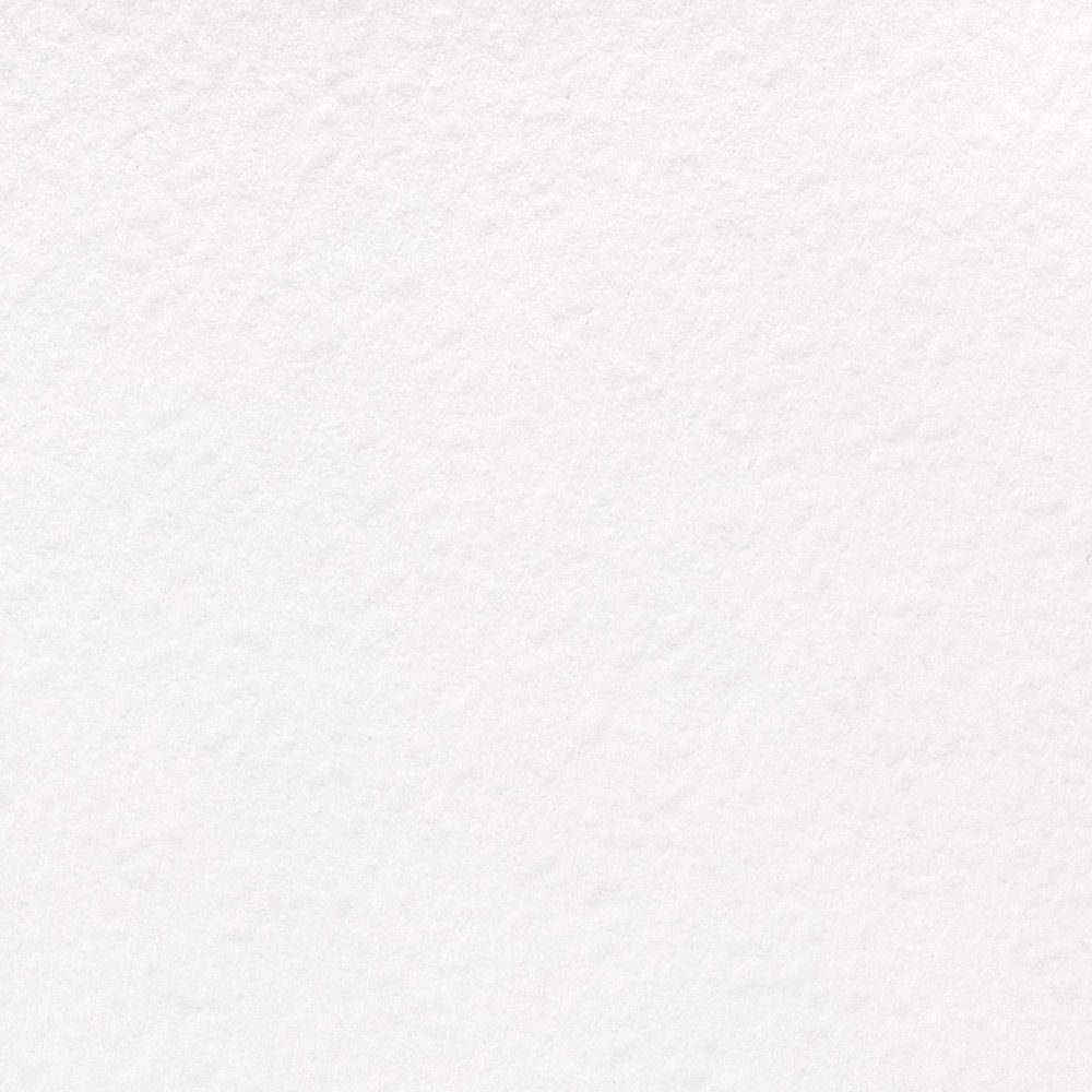 Папка с бумагой для акварели А3 200 г/м², папка 10 л, Гознак тисненая PWG-02, Vista-Artista