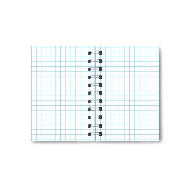 Записная книжка на гребне A7 40 л. 12 шт, клетка, Весёлые игрушки 01176, Светоч ЗК108