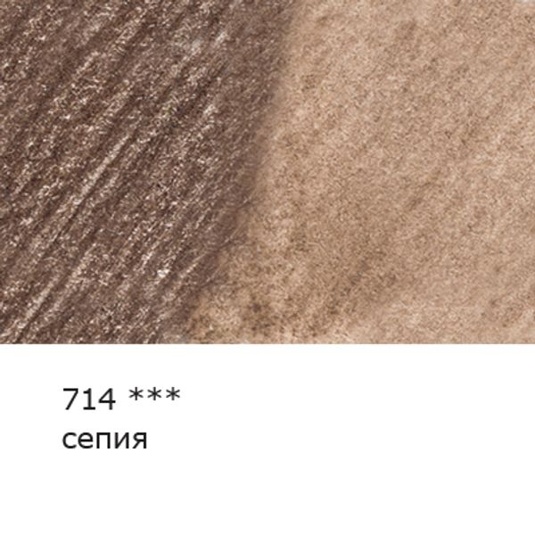 Карандаш акварельный художественный заточенный, 6 шт, 714 Сепия (Sepia), Vista-Artista Gallery VGWP