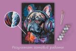 Картина по номерам Фрея PNB/PLB-290, Стильный бульдог, (эффект черного холста) 50х40 см