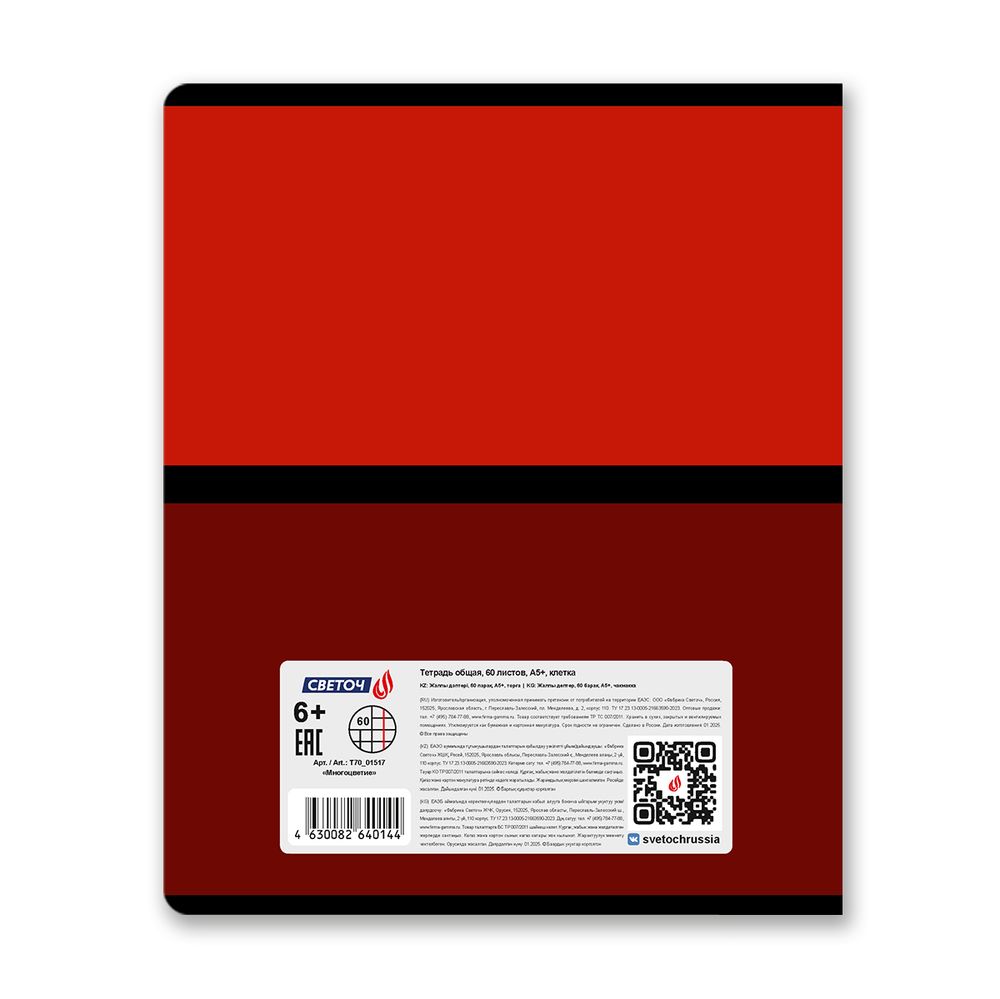 Тетрадь ученическая общая A5 60 л. на скобе 65 г/м², белизна 100% 10 шт клетка, 01517 Многоцветие, Светоч Т70