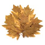 Кленовые листья, 9 шт, 6 Зелено-коричневые