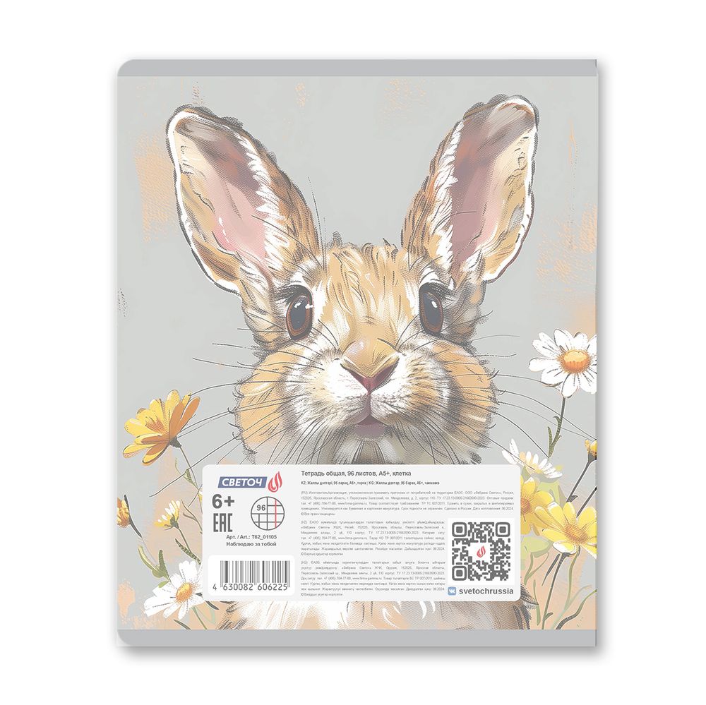Тетрадь общая пластиковой обложкой 180 мкр. с трафарет.печатью, цвет.запечат.титул лист A5+ 96 л. на скобе 65 г/м², белизна 100 %, 5 шт, клетка, 01105 Наблюдаю за тобой, Светоч Т62