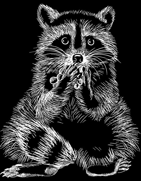 Набор для творчества Гравюра 20х25.5 см, №29 Енот (серебро), Hobbius SGHK