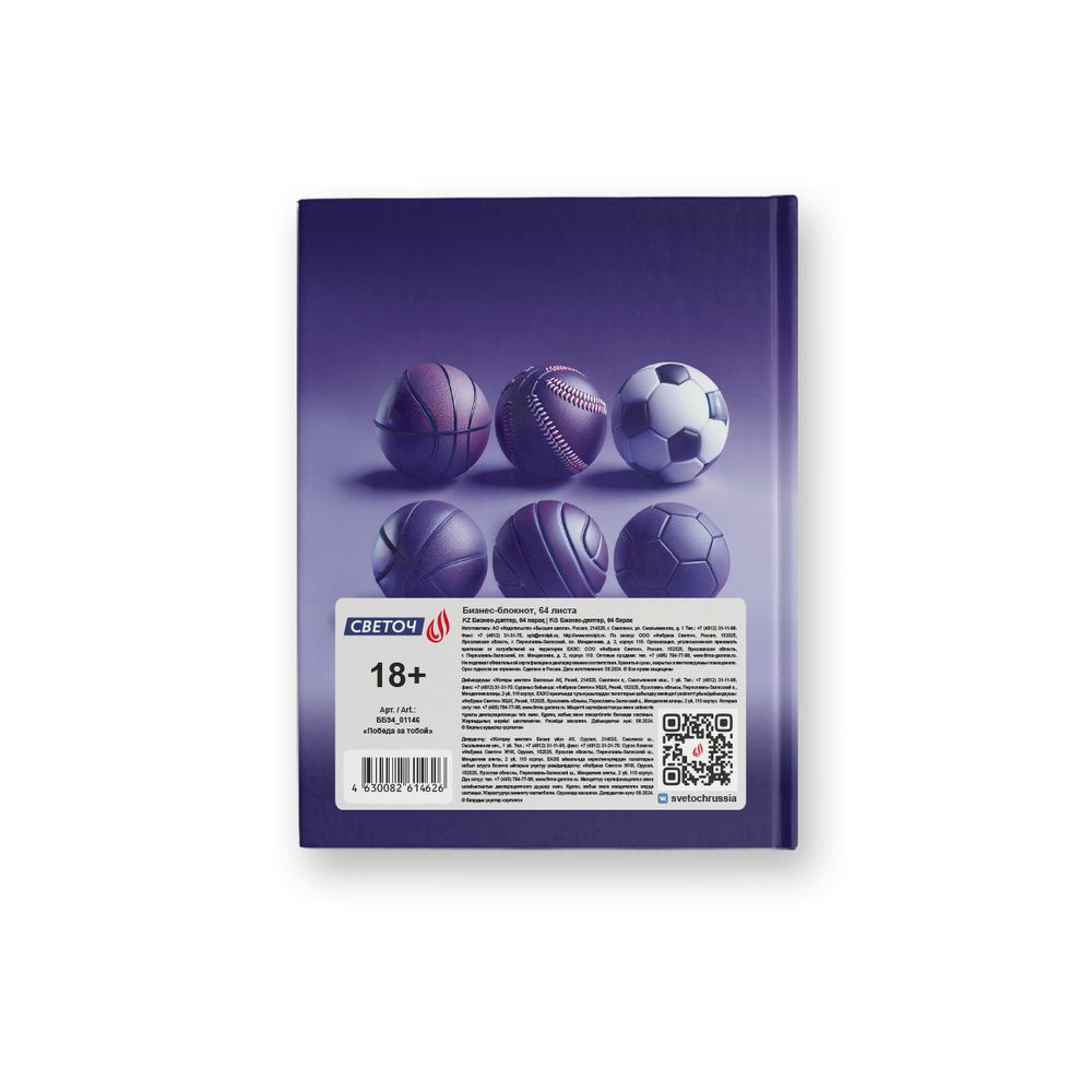 Бизнес-блокнот A6 64 л. 24 шт, клетка, матовая ламинация + выборочный лак, Победа за тобой 01146, Светоч ББ94