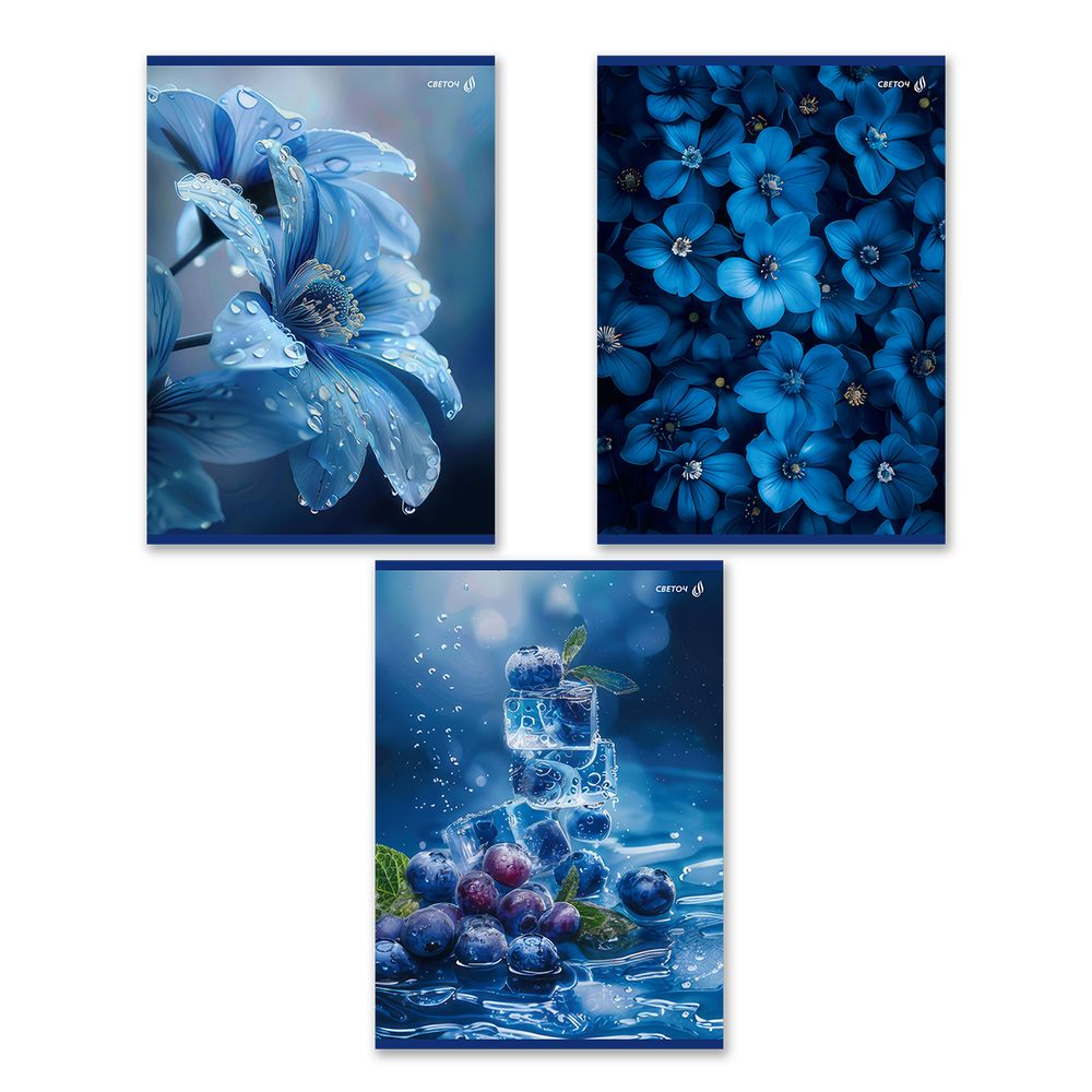 Тетрадь ученическая общая, выборочный лак, A4 80 л. на скобе 65 г/м², белизна 100% 6 шт клетка, 01763 Сквозь синий туман, Светоч Т155