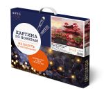 Картина по номерам Фрея, со светодиодами День цветения сакуры, 50х40 см