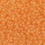 Бисер Preciosa 10/0, 50 г (10х5 г), 02183