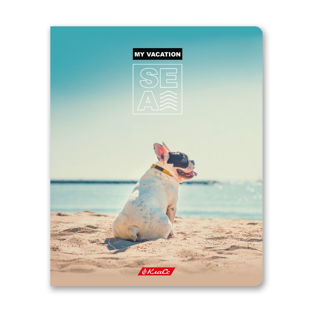 Тетрадь ученическая общая, глянцевая ламинация, A5+ 96 л. на скобе, белизна 100%, 5 шт, клетка, 000348 Вокруг света, Светоч 96ТСК5_3_3_1