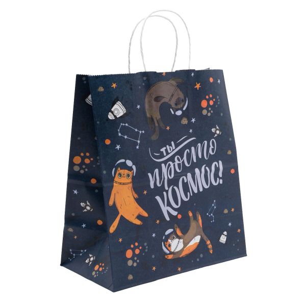 Пакет бумажный, крафт, 100 г/м² 25х22х12см, 