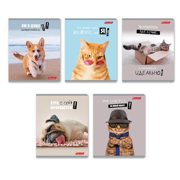 Тетрадь ученическая общая, A5+ 48 л. на скобе 65 г/м², белизна 100%, 10 шт, клетка в термоусадочной пленке, 000752 Смешные и шерстяные, Светоч 48ТЕТк-001